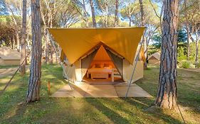 Camping Pla De La Torre